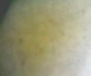 Cô gái nga nhảy trên một nhật ký vàng anh sec dương vật lớn
